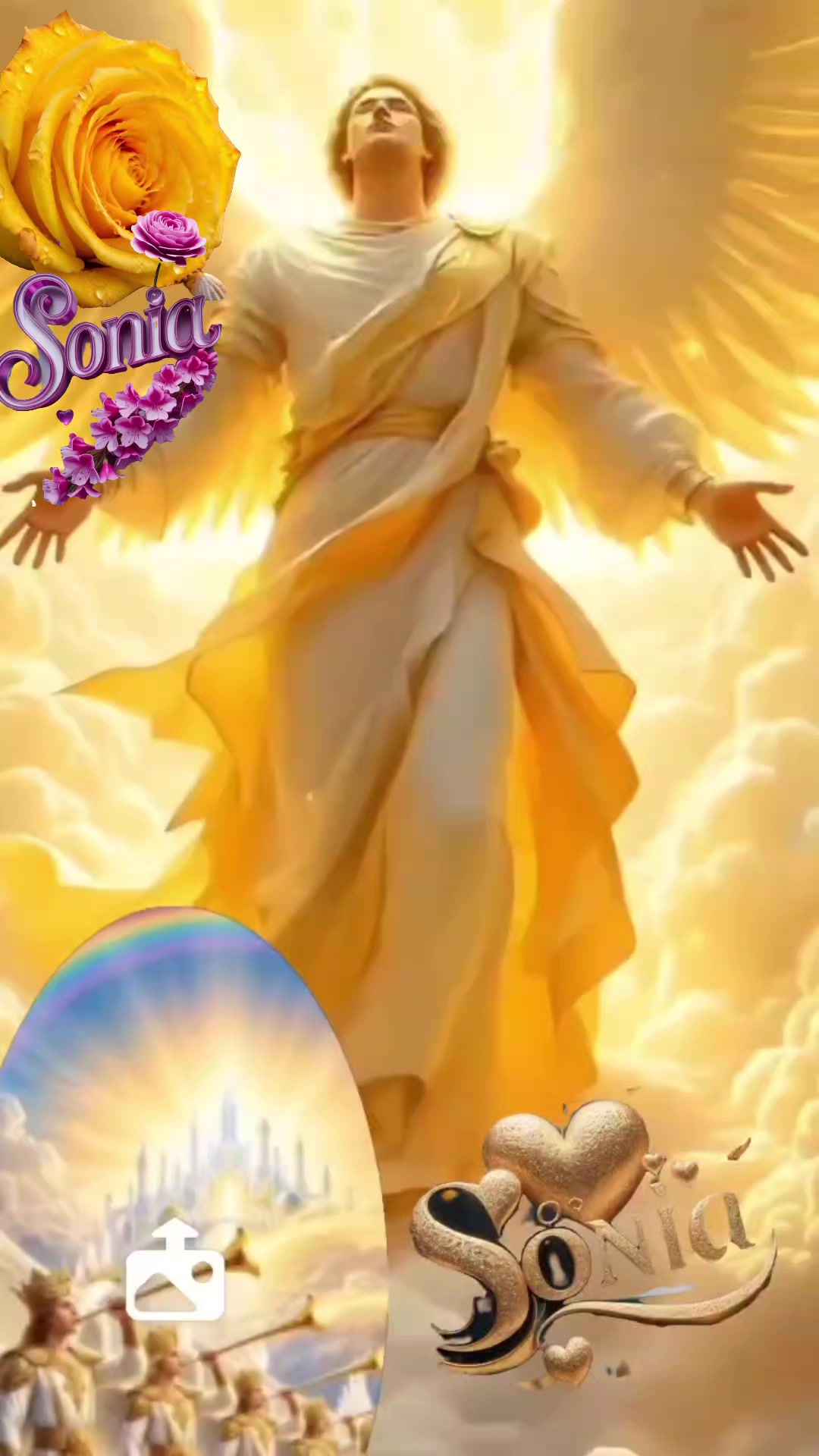 @❤️Sônia ❤️