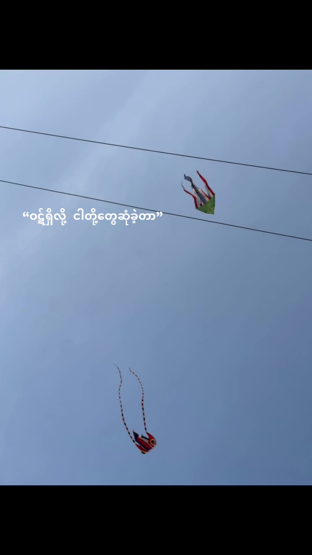@Bingođ