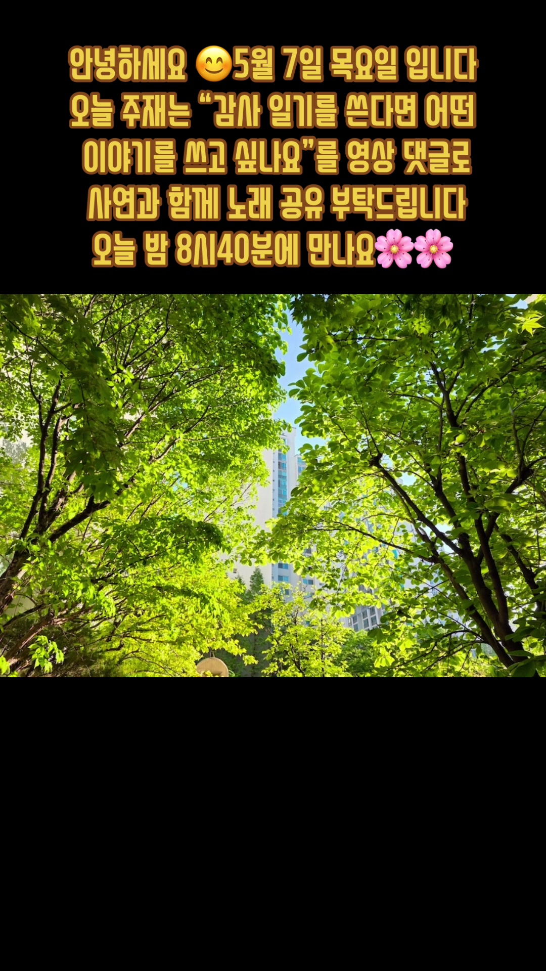 @🪴줄리애쉬