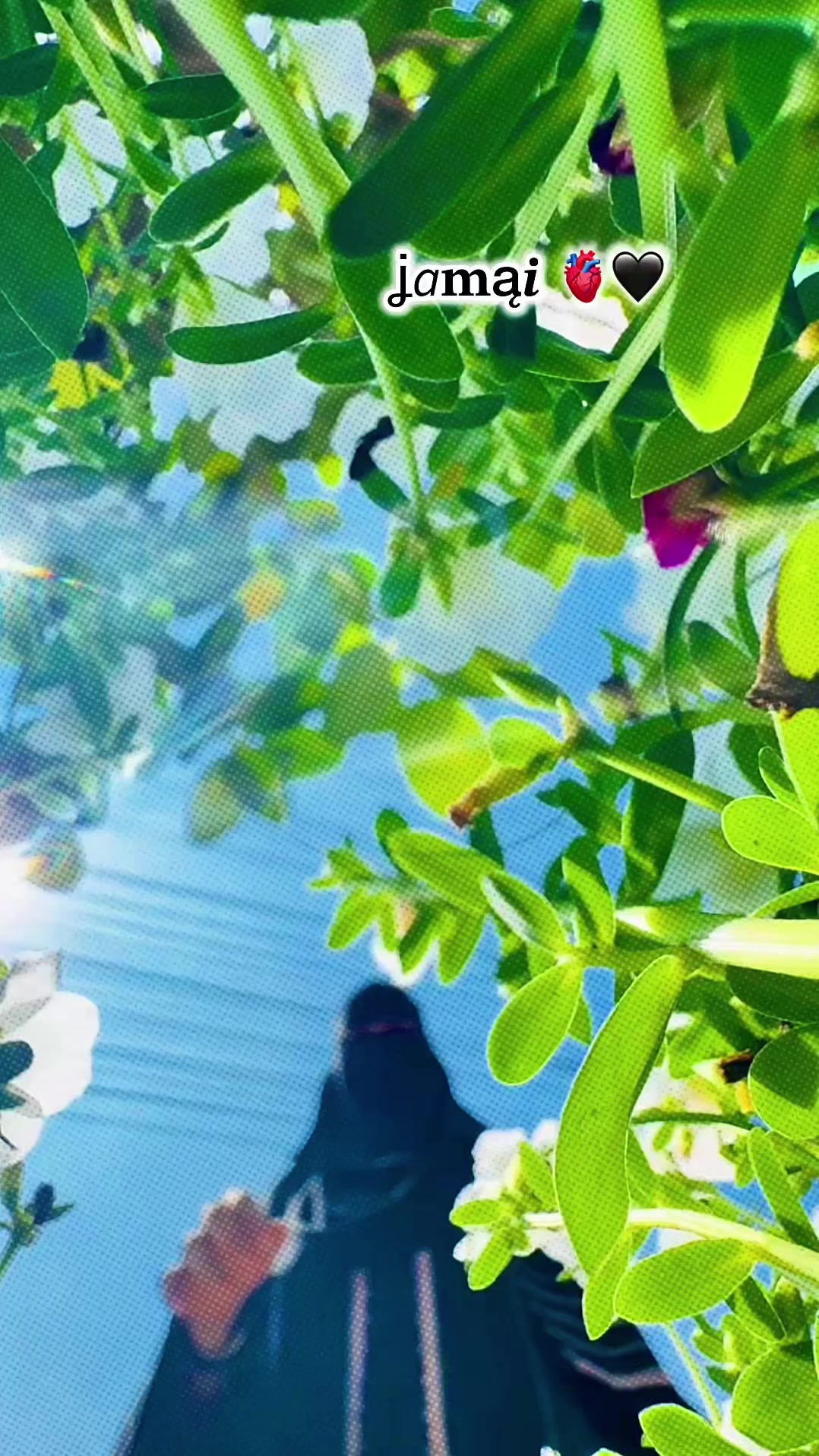 @đˇSumaiyađˇ