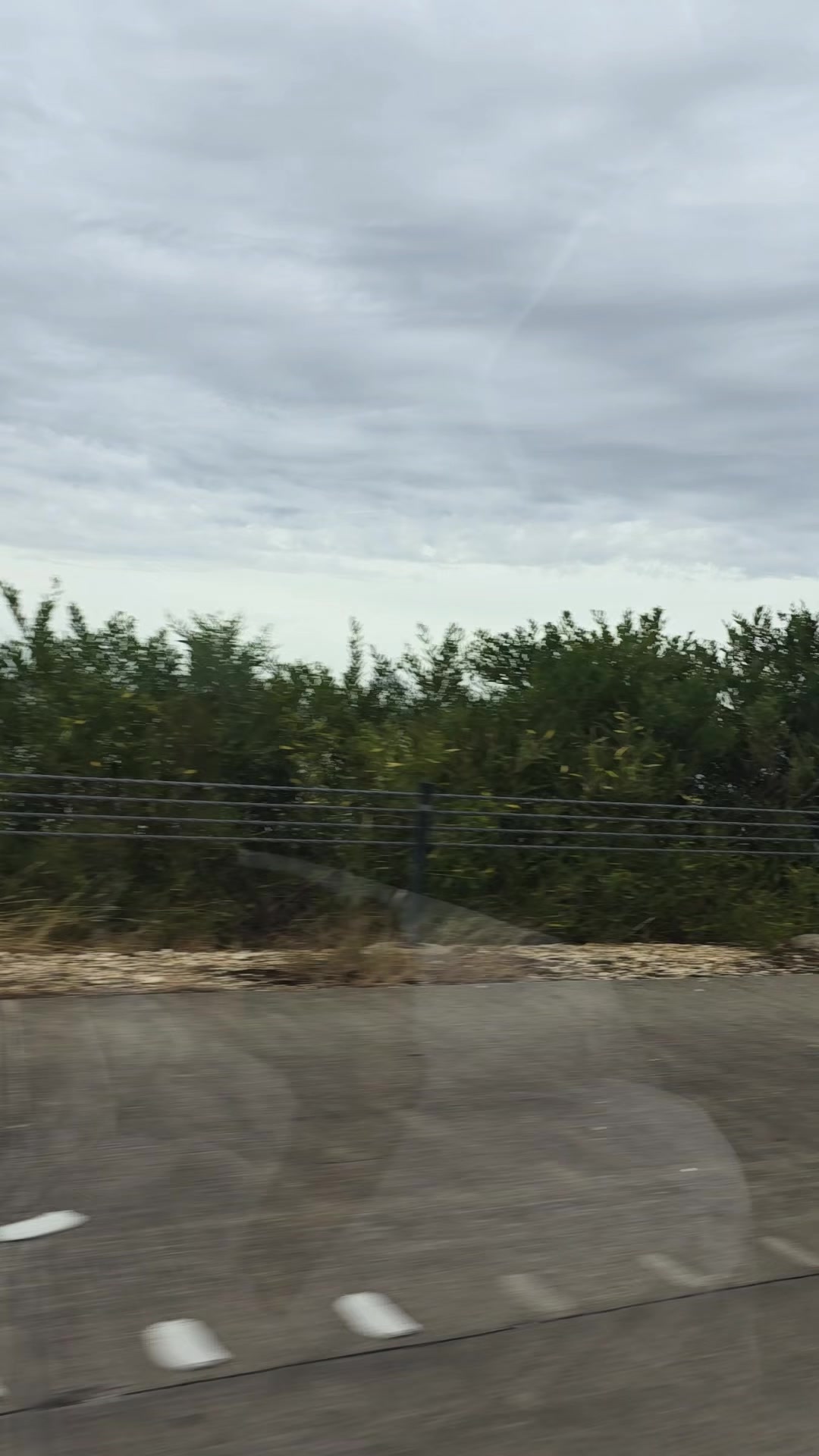 @Bijita