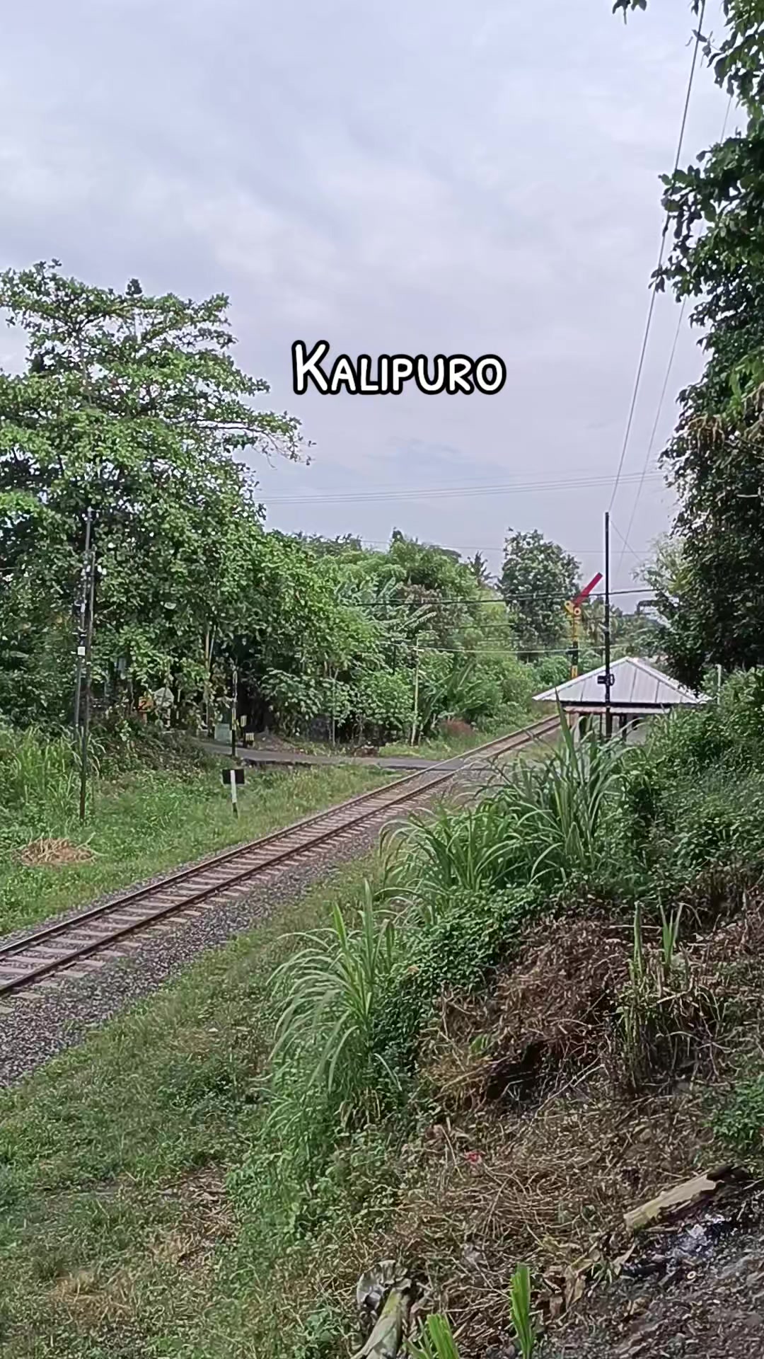 @Ruri.bwi.selatan