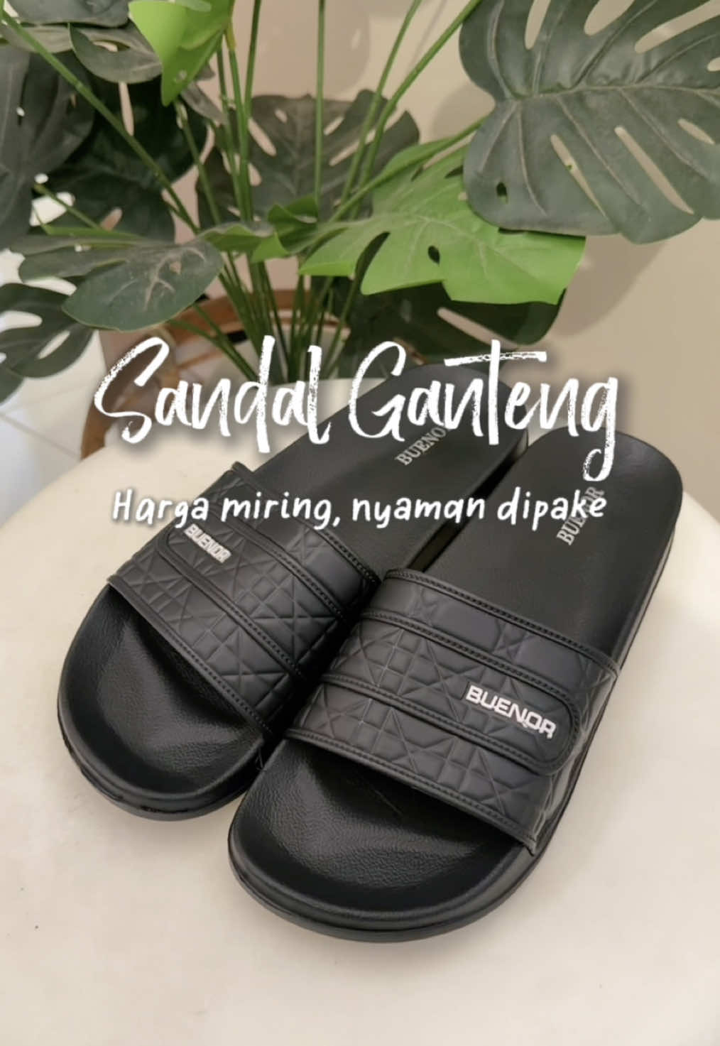 @Ayuusyafitrii🌼