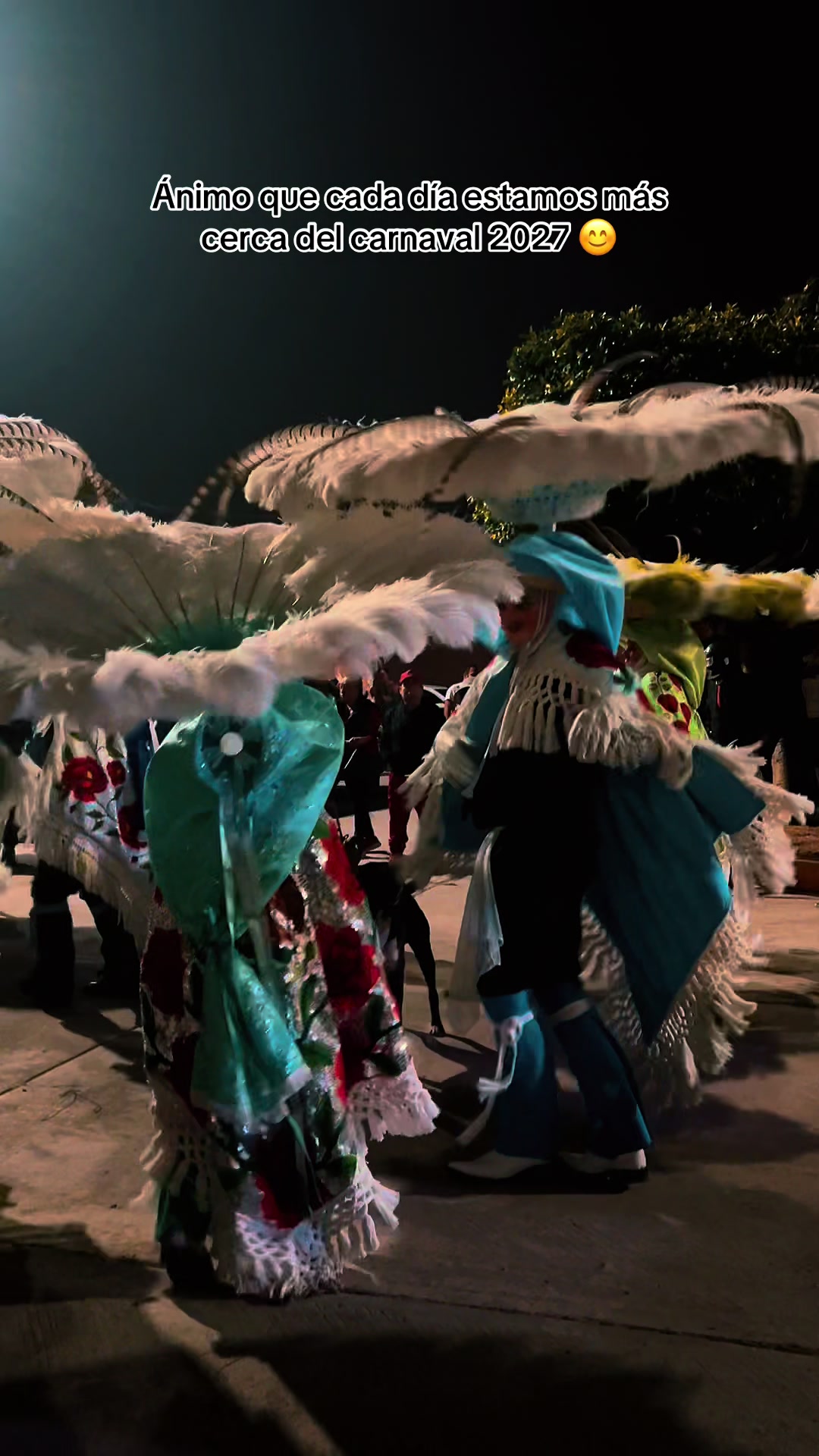 @Rive La Carnavalera ݁⋆ ★ ˚。⋆