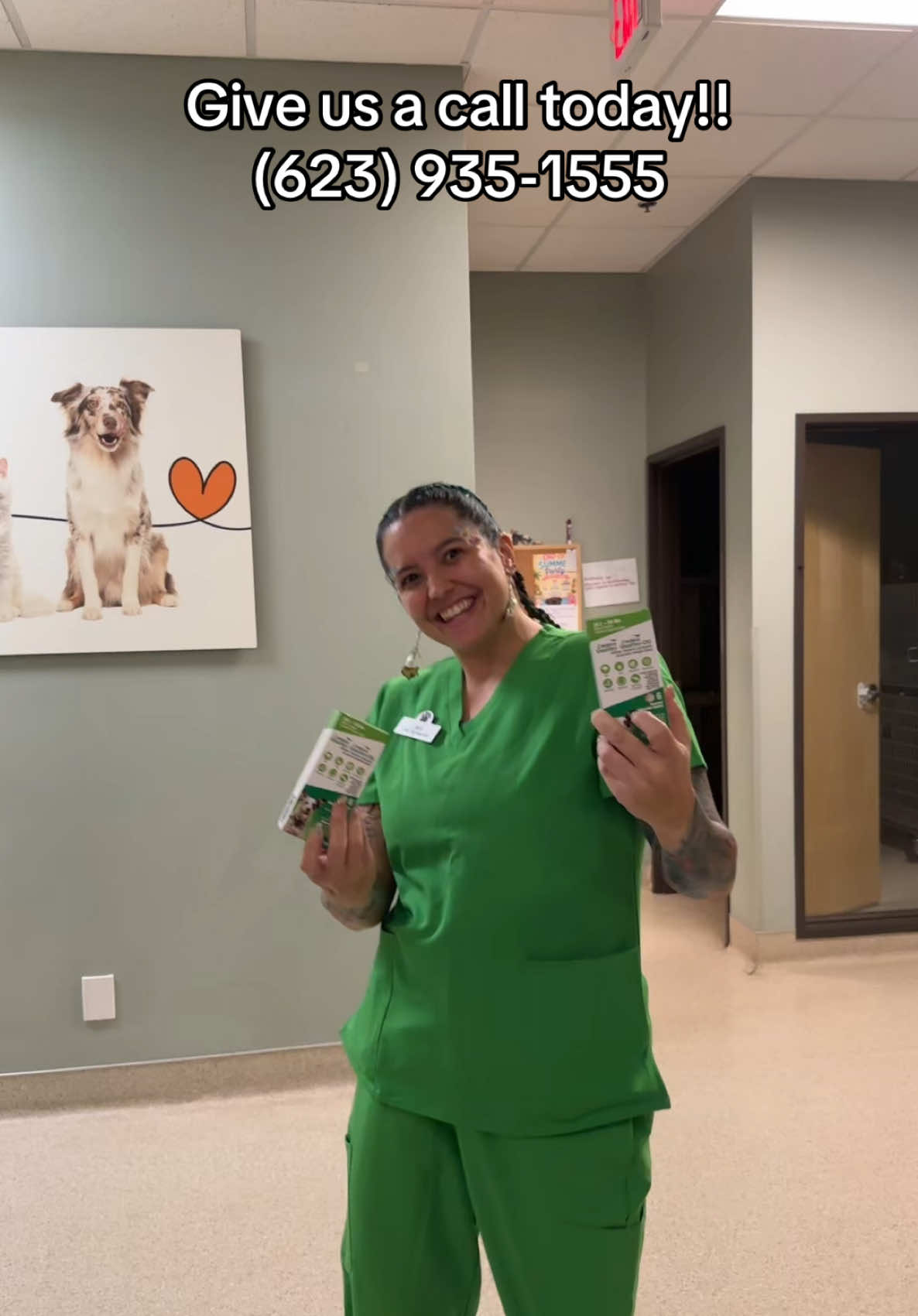 @Dreaming Summit Animal Hosp