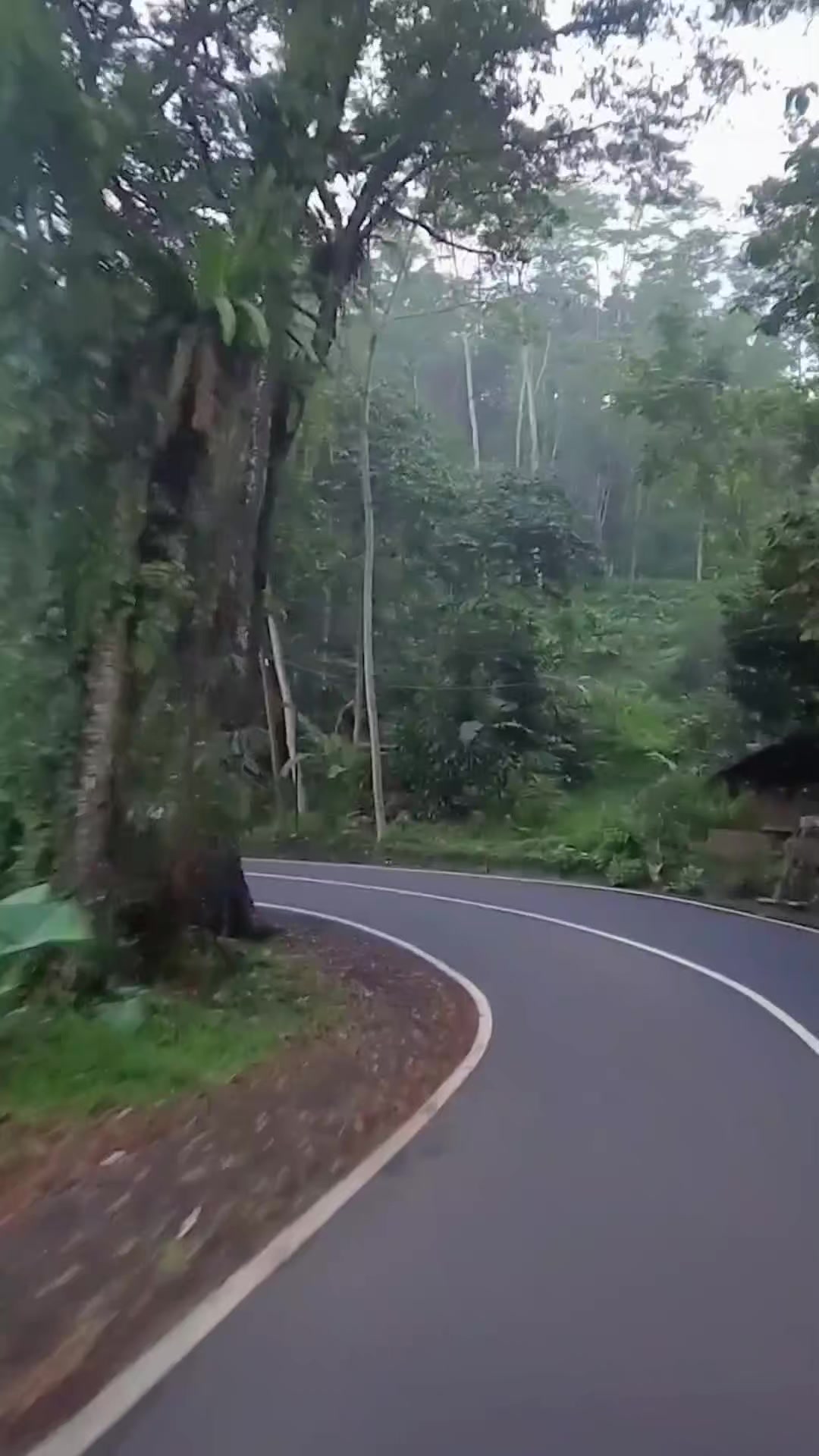 @Rizqi