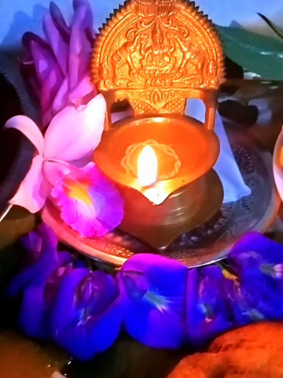 @ʍu$&iota;c Ʀh&psi;&dagger;hʍ &oslash;Ŧ $&oslash;ul🎶🎼🤍🕊️