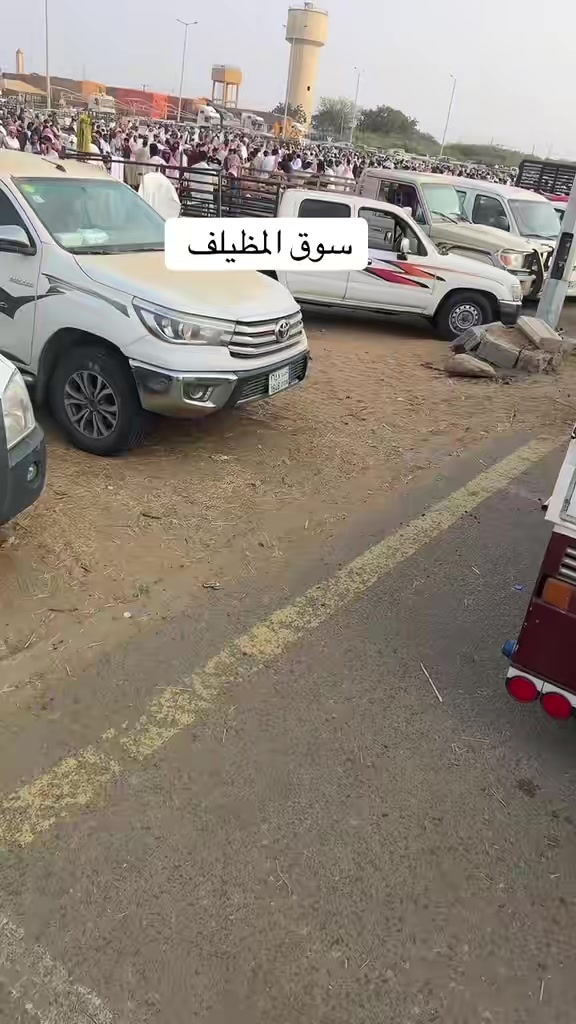 @شامي