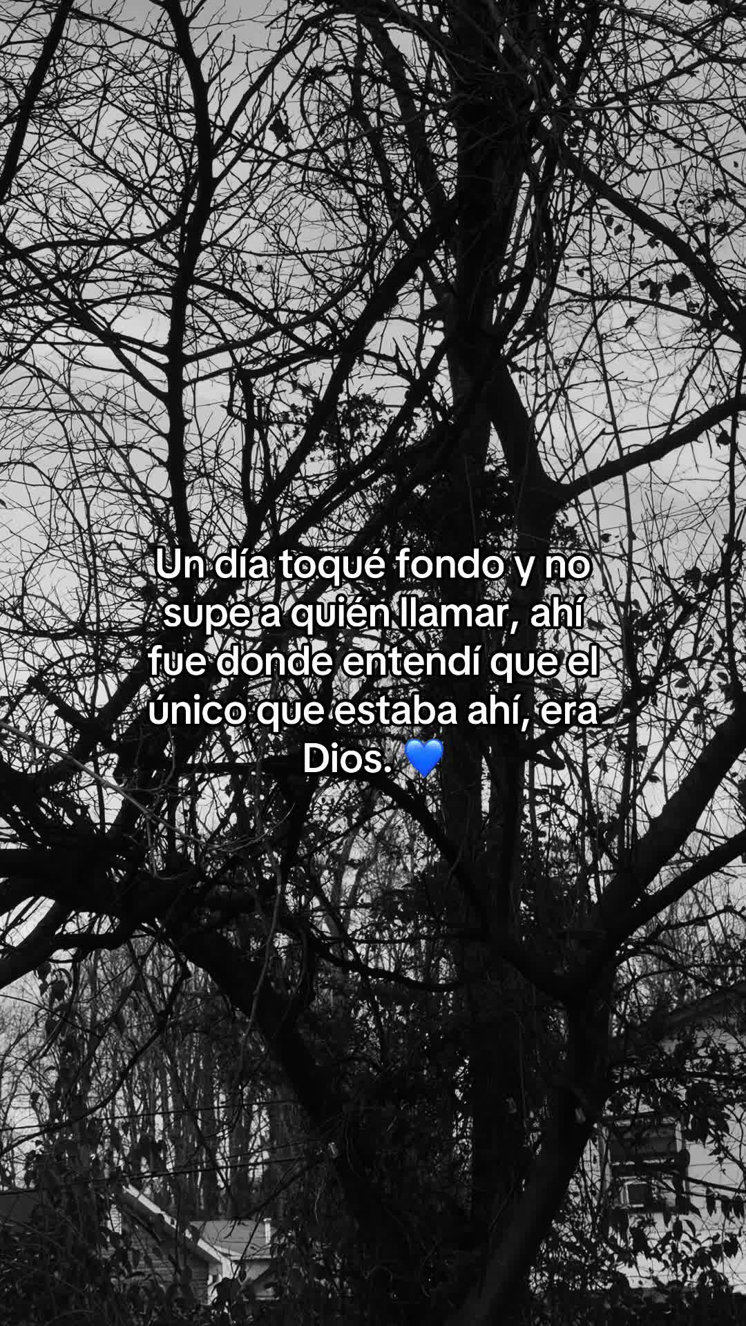 @Wendy -frases 21