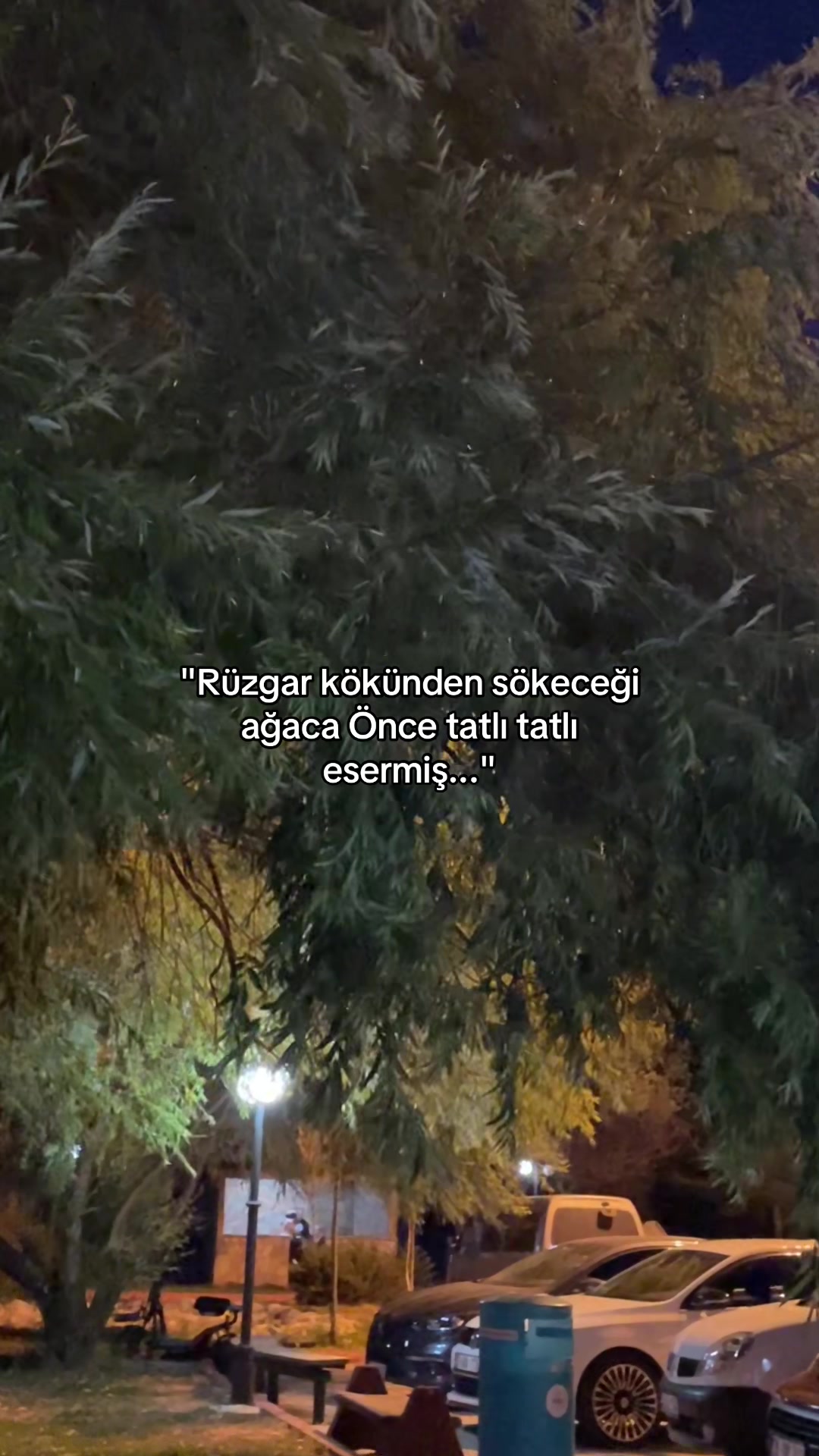 @𝓢𝓮𝓿𝓭𝓪🇹🇷͜͜͡͡✯
