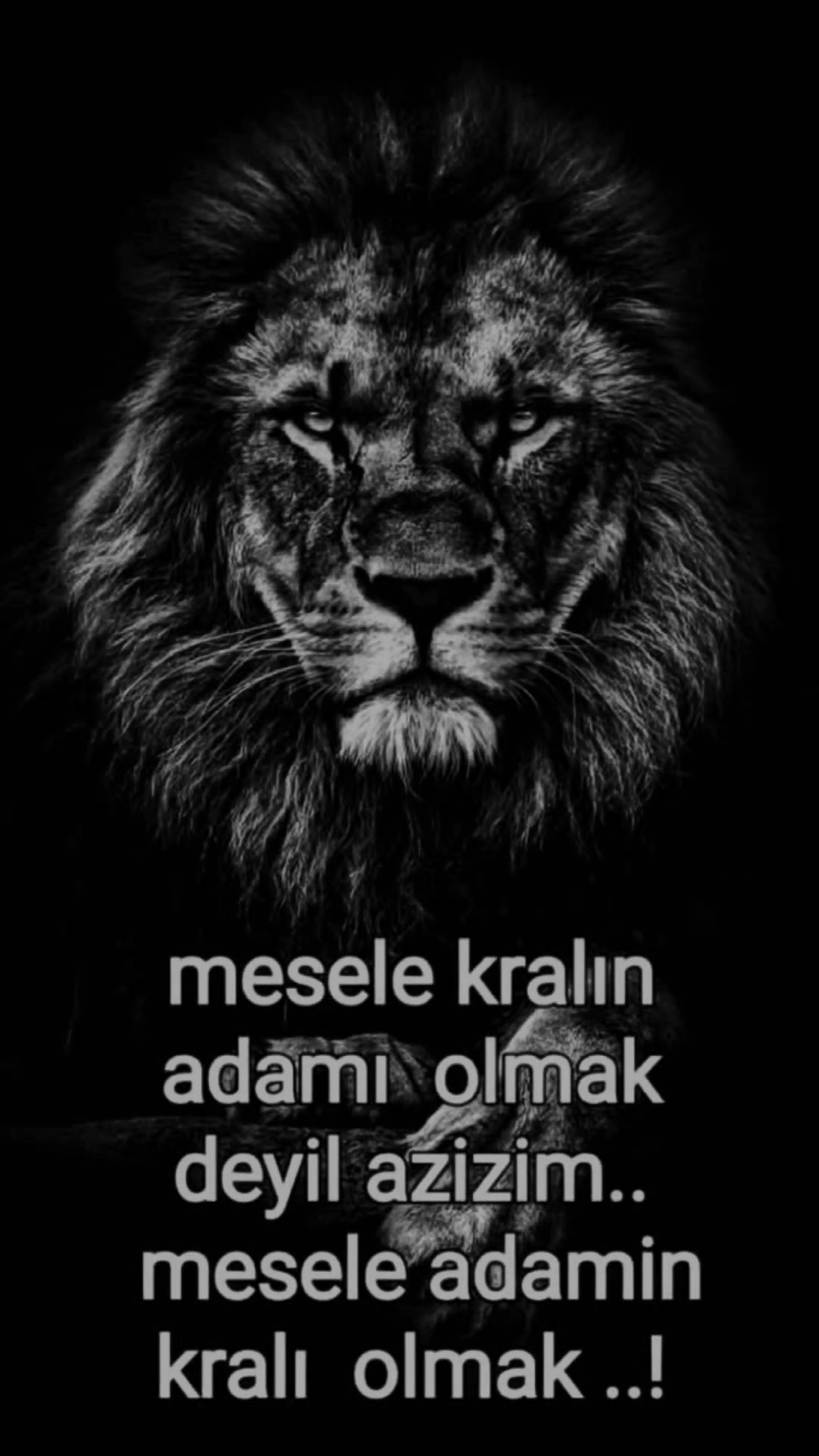 @Deniz 7256