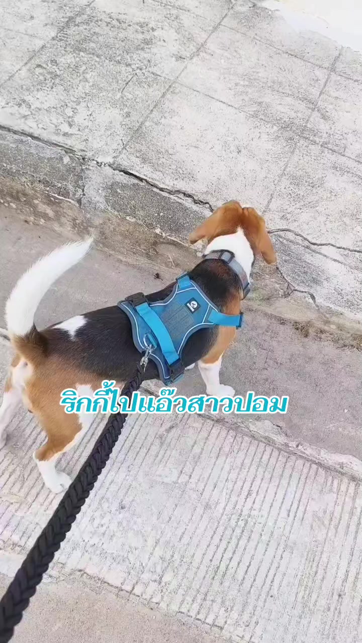 @sinsaeming_fengshui_official