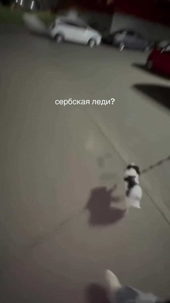 @𓆩 юличка. 𓆪
