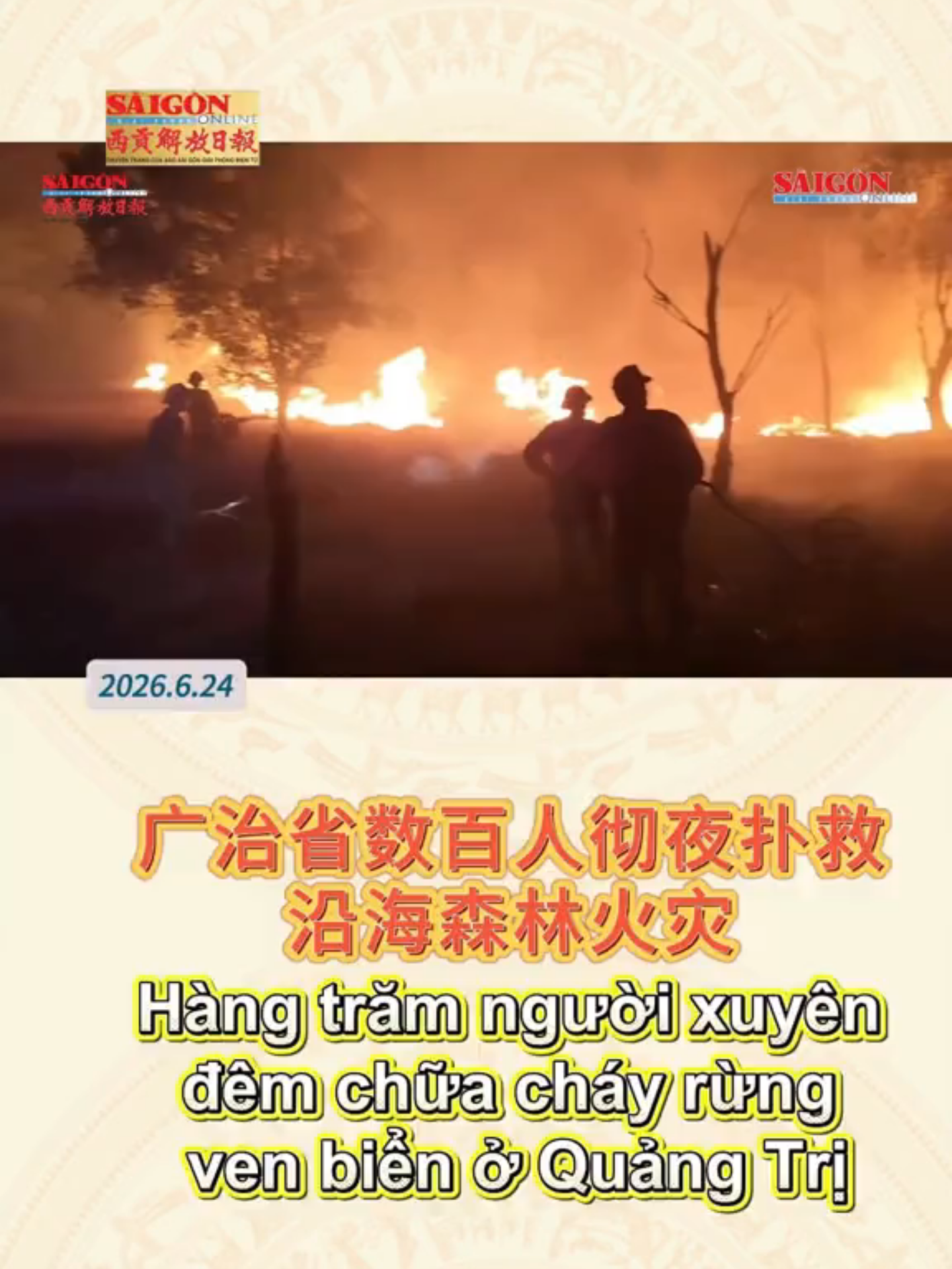 @西贡解放日报-B&aacute;o SGGP bản Hoa văn