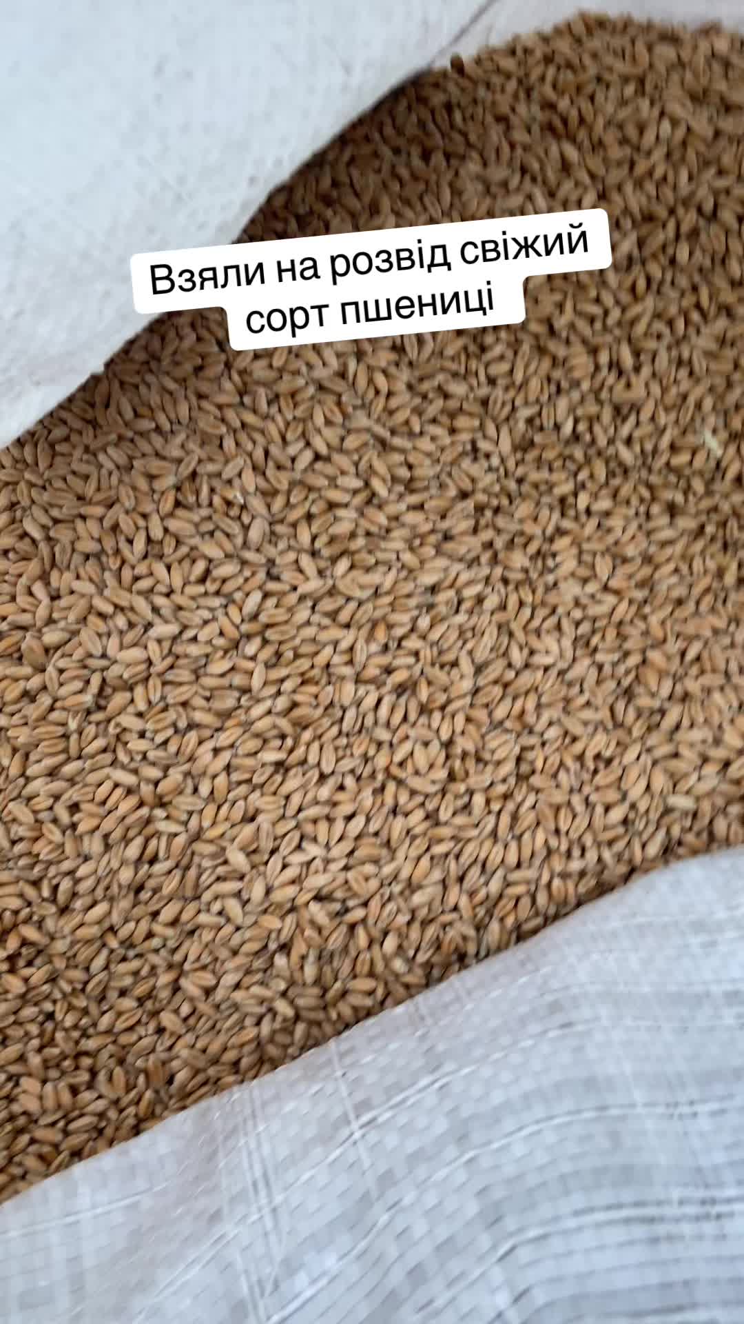 @Denys Pluzhnyk