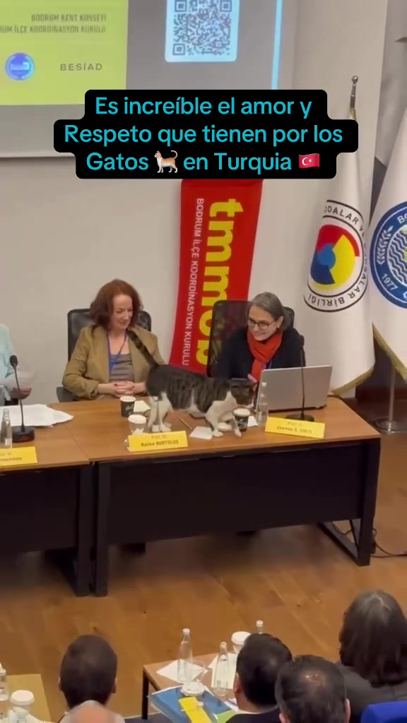 @colomboturcos