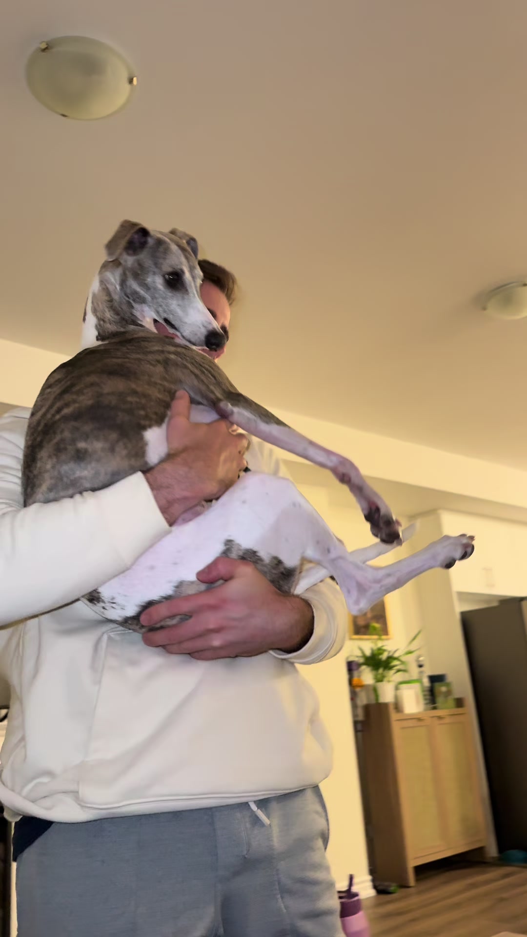 @Kayce Dog🤪🩷