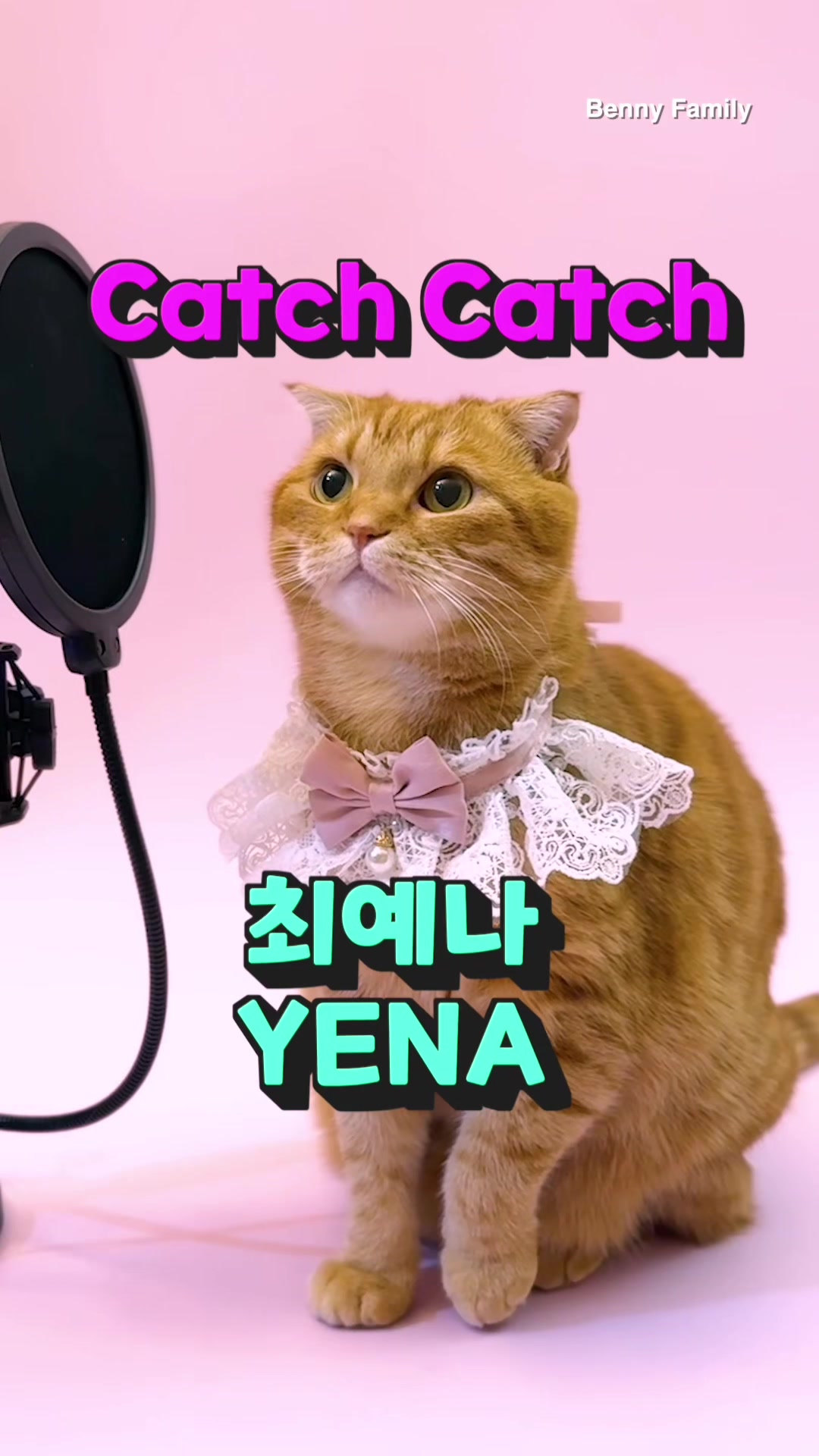 @베니패밀리 Benny Family