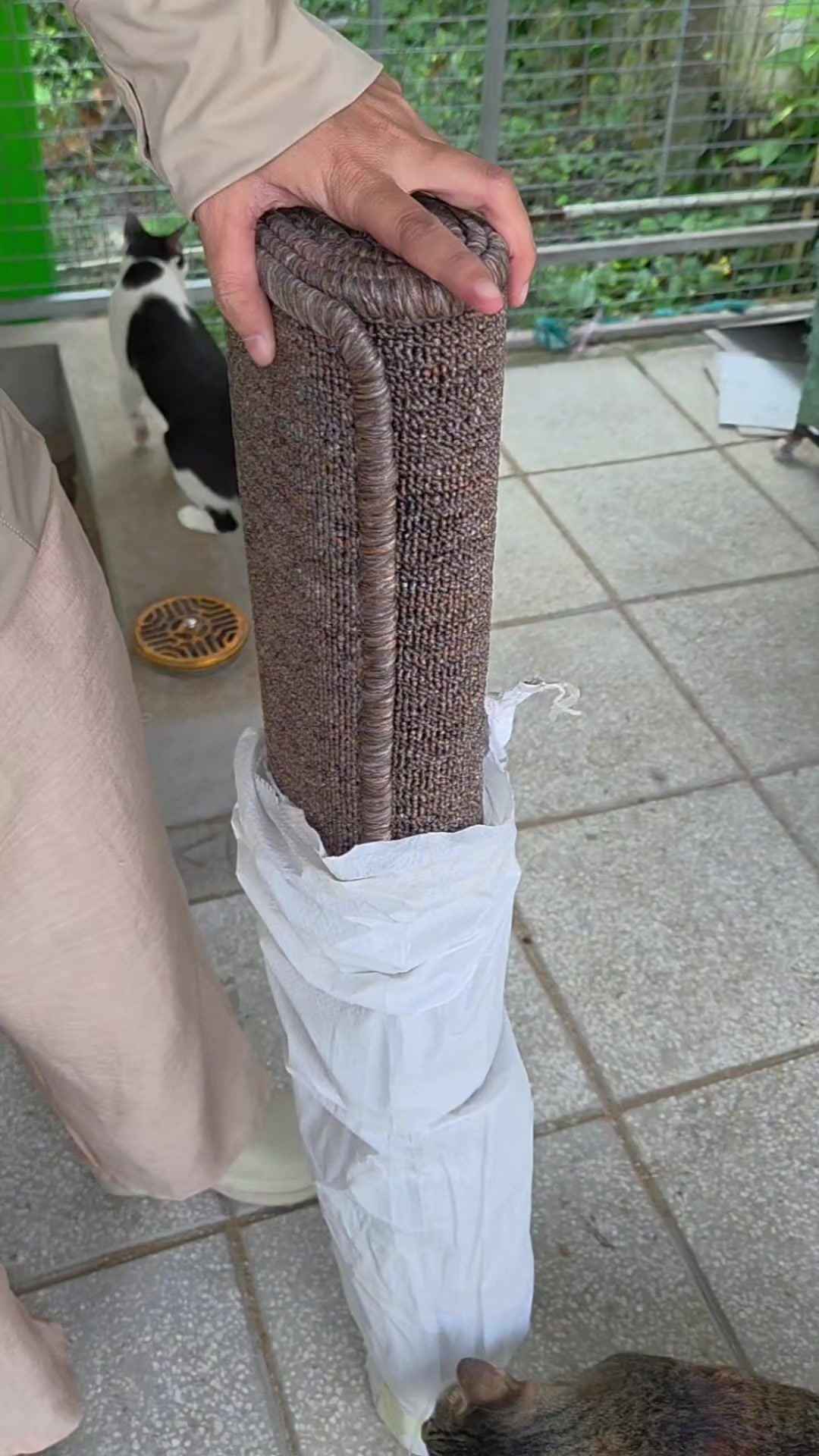 @Khế thúi
