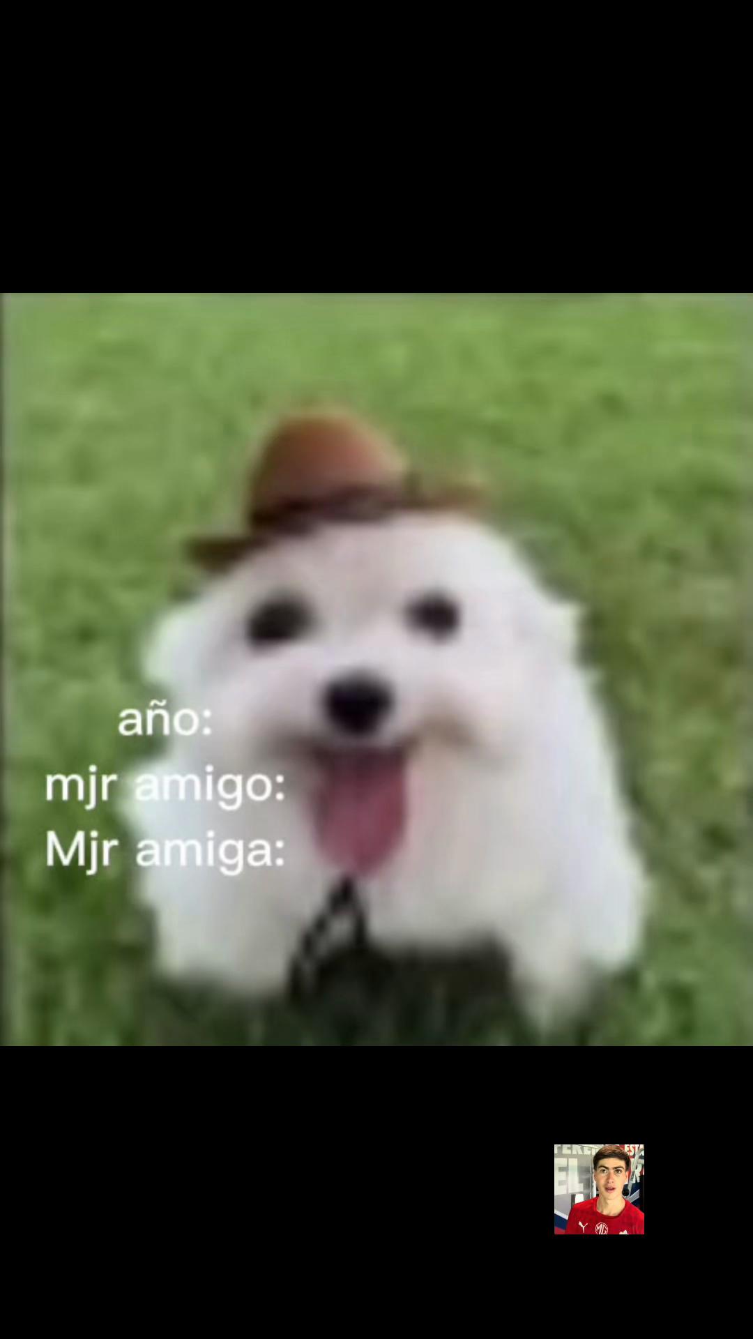 @Olladefrijolesconpapa🫰🏿💜