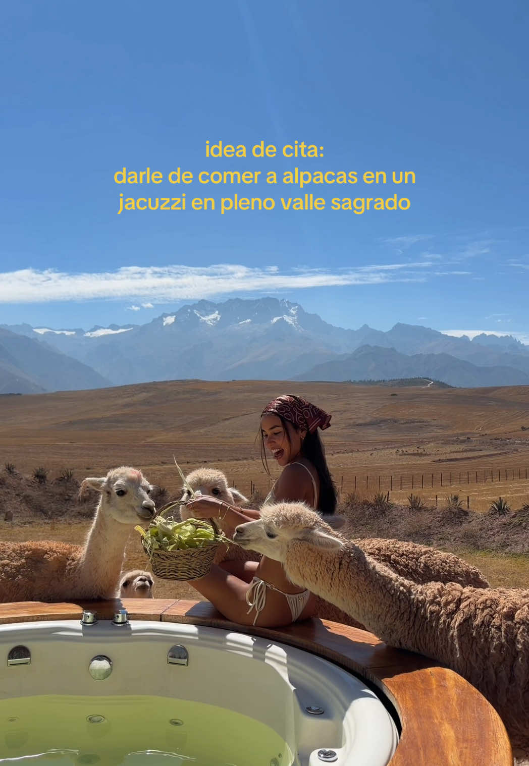 @Jimena López
