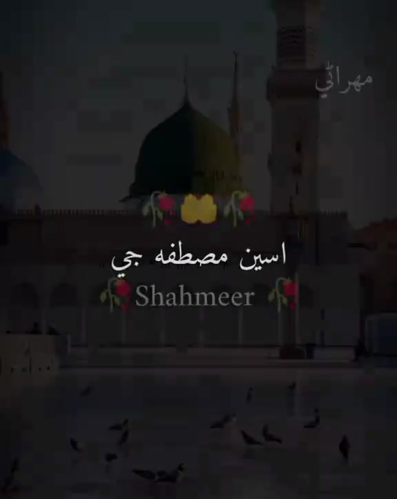 @noor.