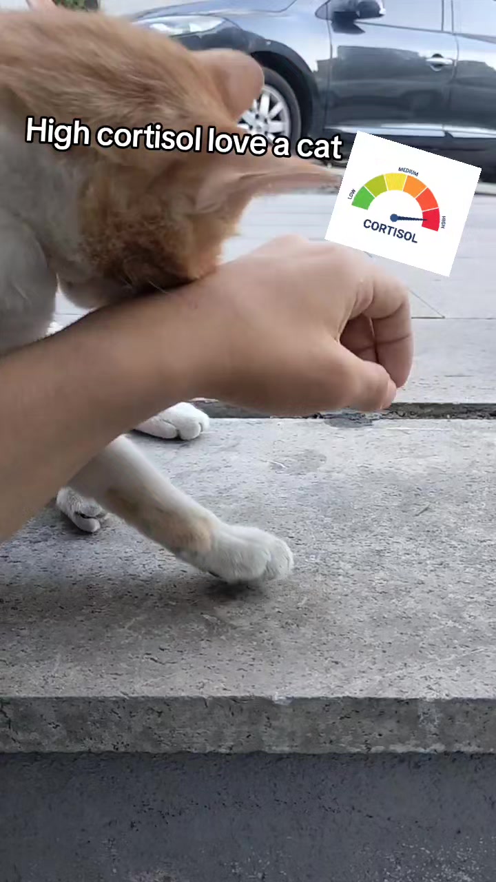 @Kutay Yanık