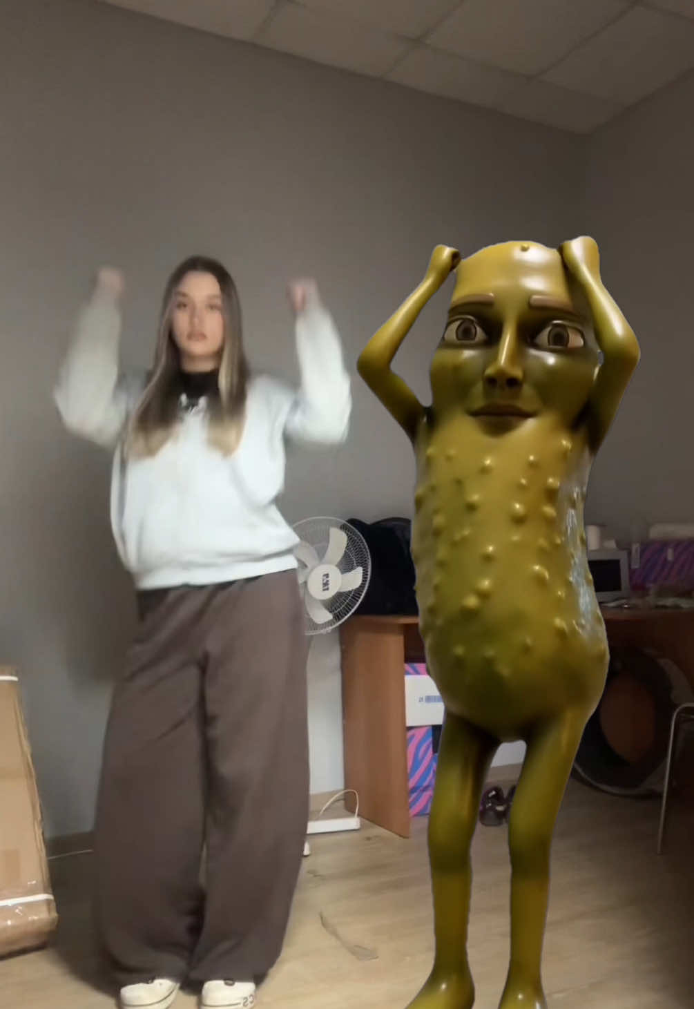 @sofyka