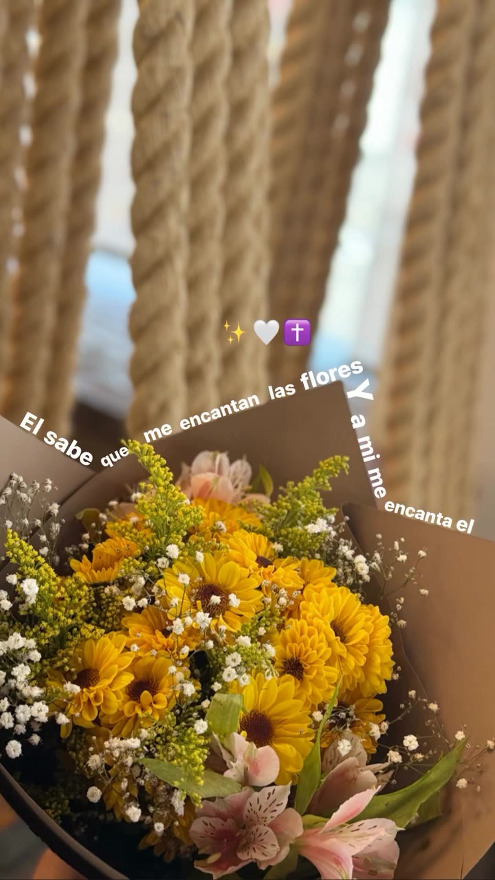 @alexandradeluna_