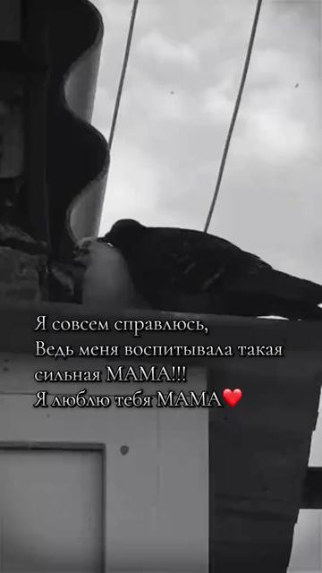 @Снежана