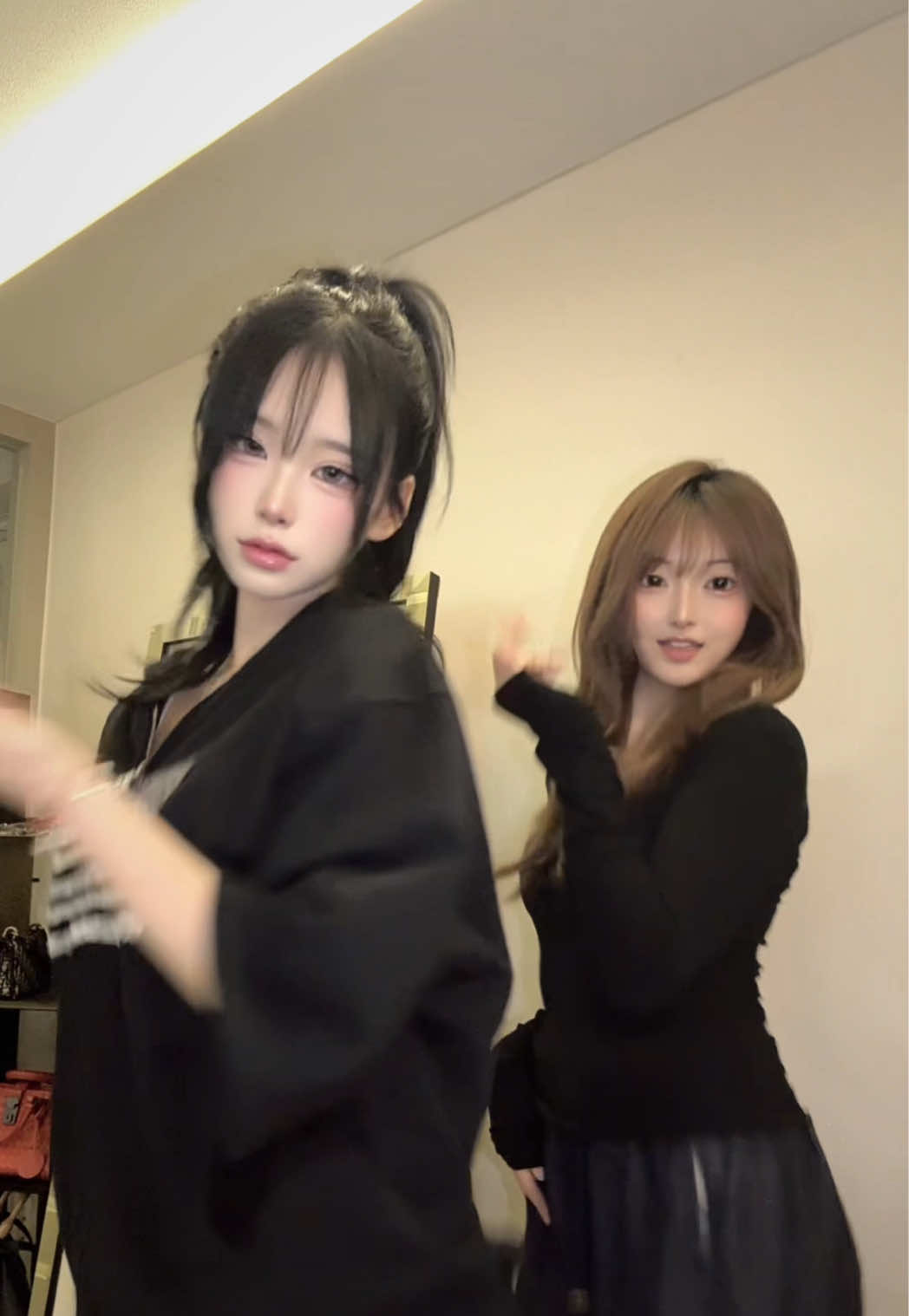 @죠팝나무