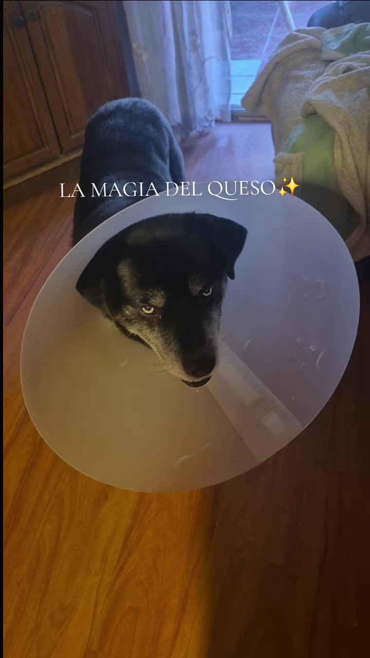 @Dra. Ayleen González