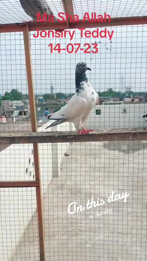 @RanaAdi302