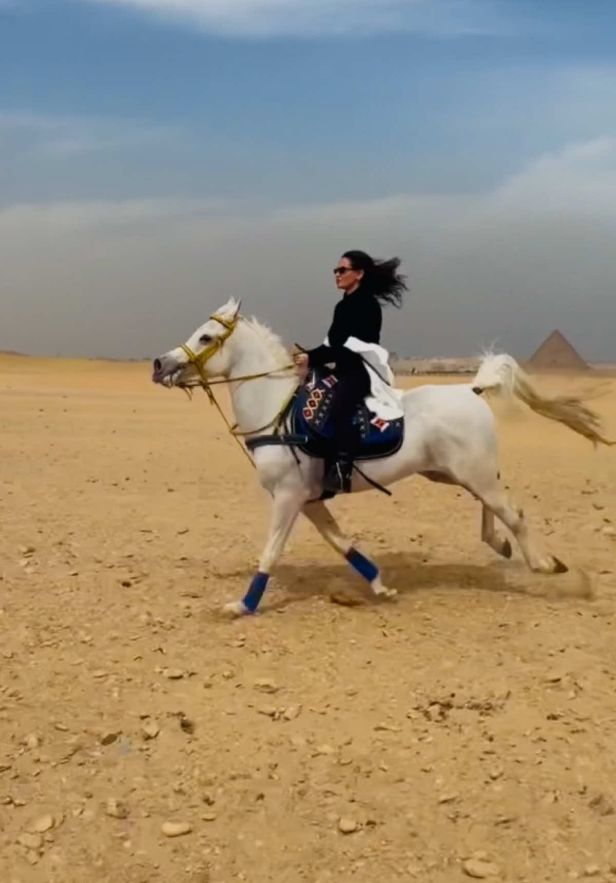 @Lama Kutkut