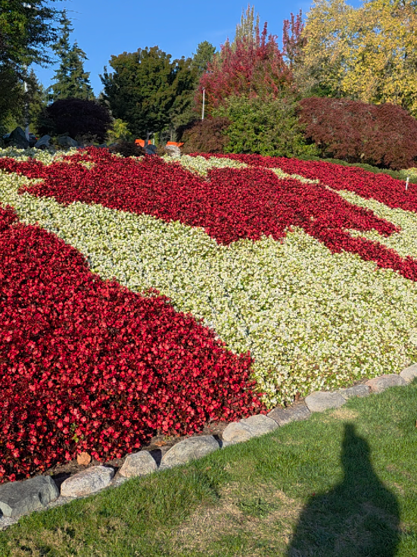 @Diverse Canada