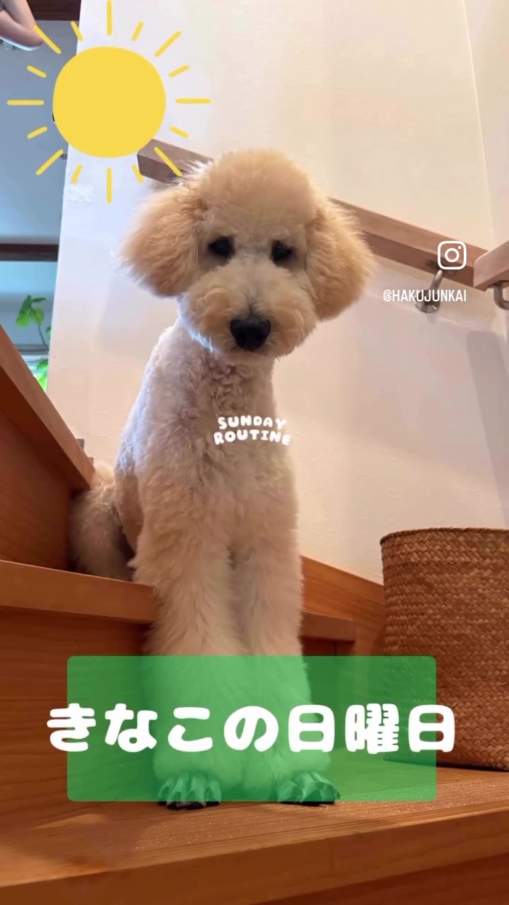 @博順会 博純苑