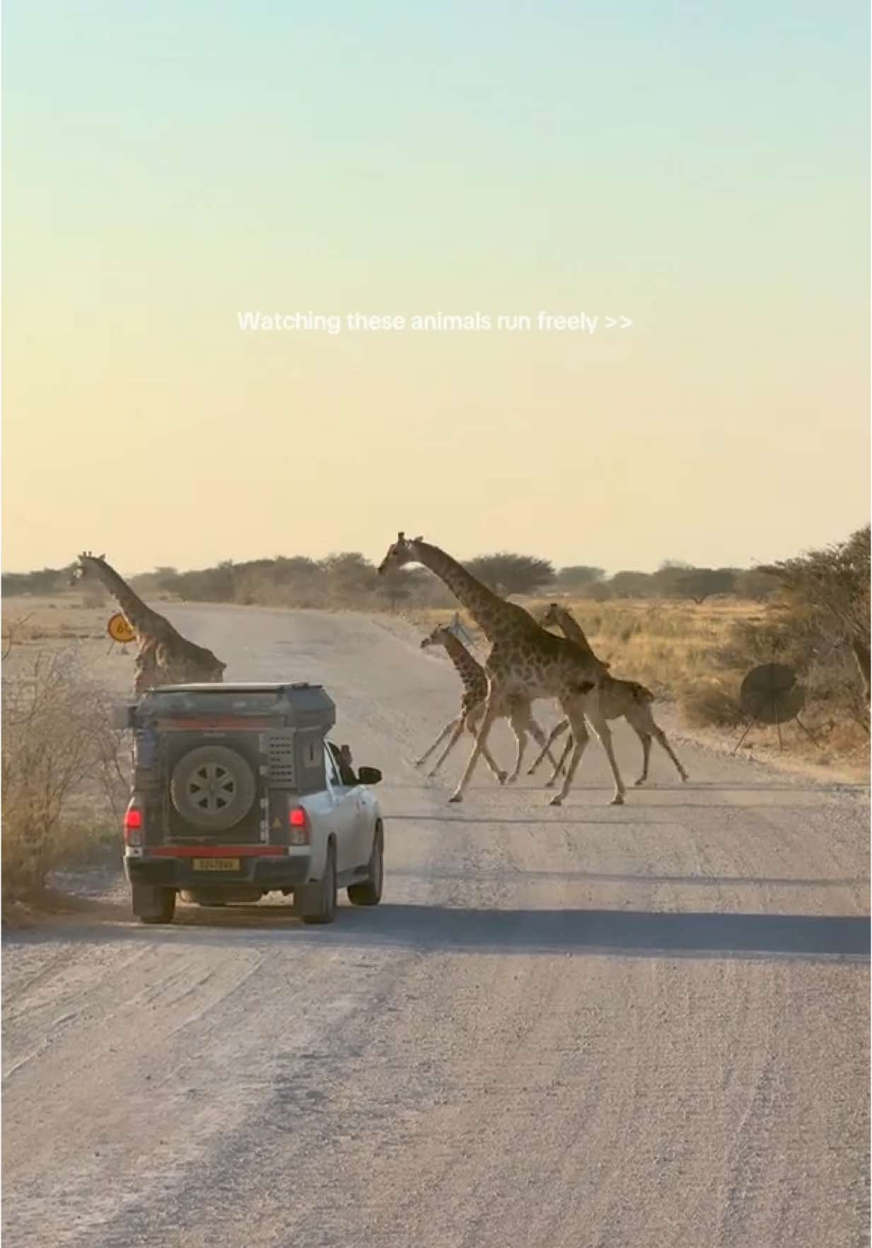 @Matilda | Travel