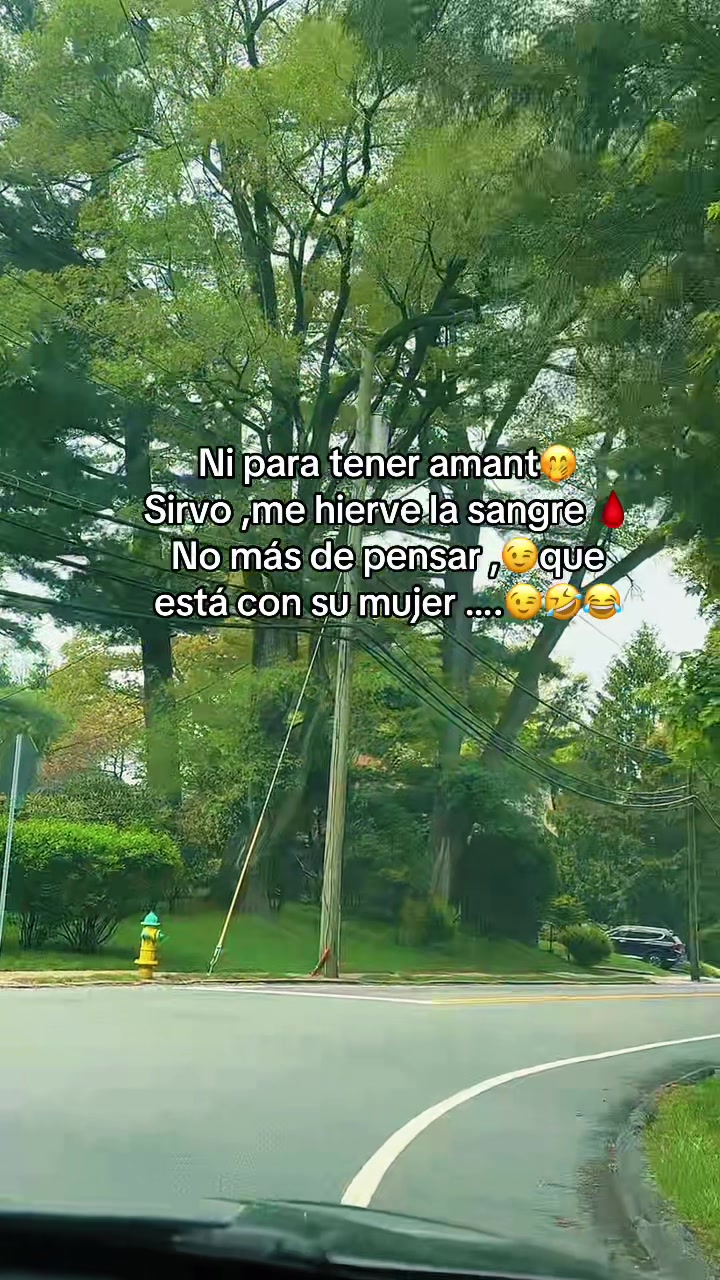 @griseldagreys