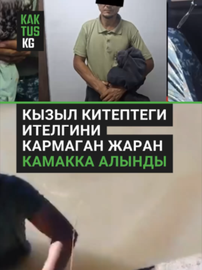 @Kaktus KG