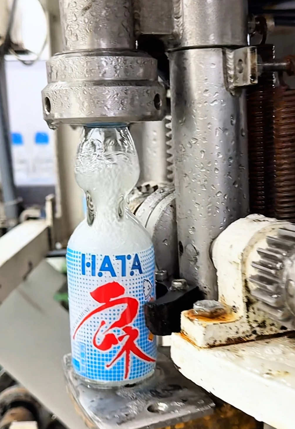 @ふもっち!!! 名古屋グルメ&日本全国グルメ