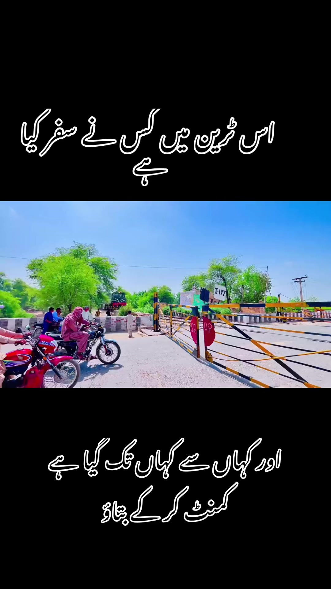 @foji sajjad