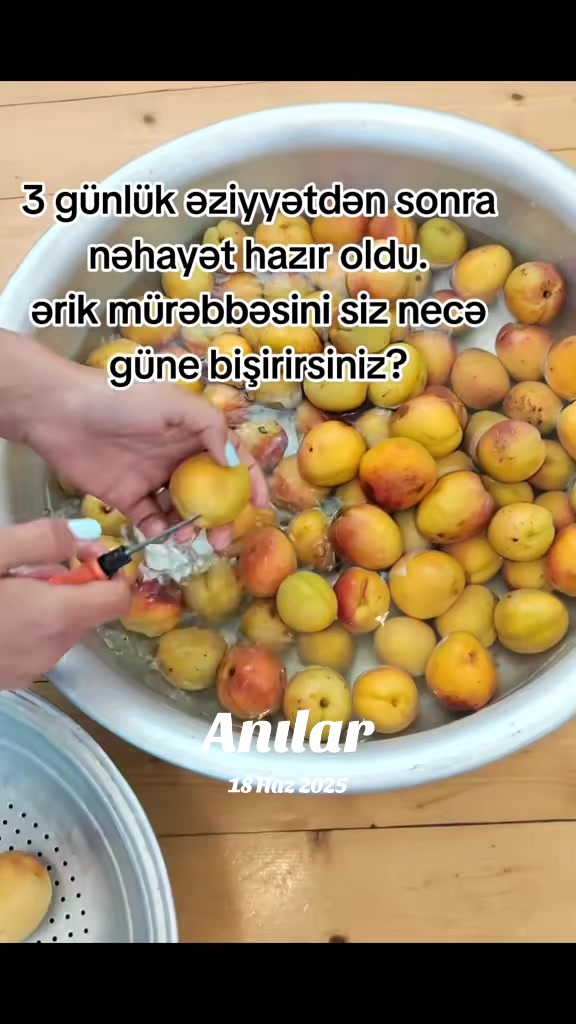 @leylanin_metbexi_