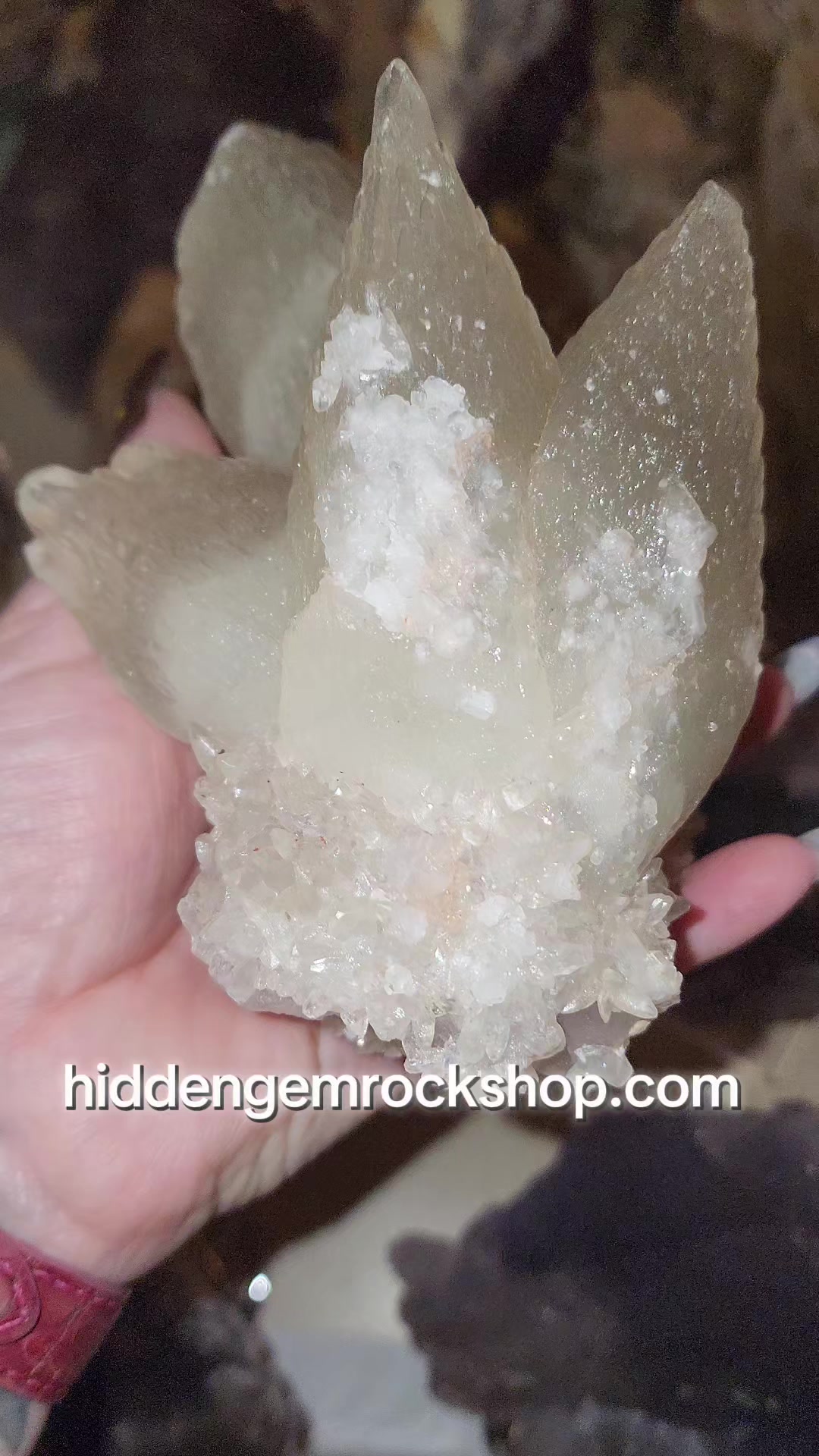 @Hidden Gem Rock Shop & Museum