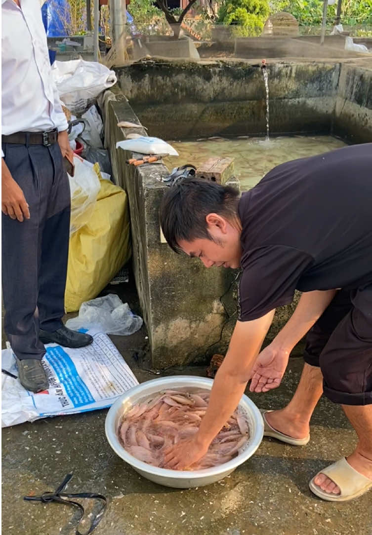 @Trại C&aacute; Giống Quang L&acirc;m