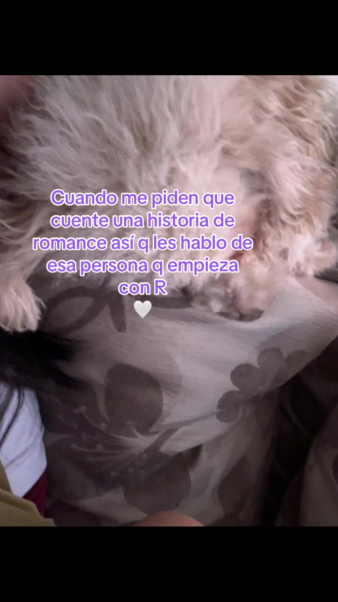 @𝒜🐼