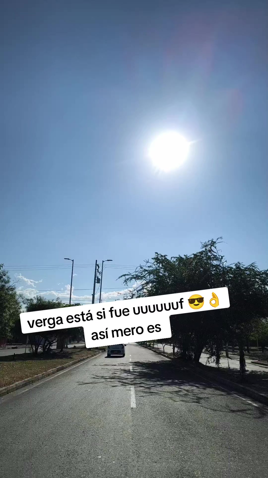@🪽🌻🪽KokitoviralLlegotuex🌻🐶
