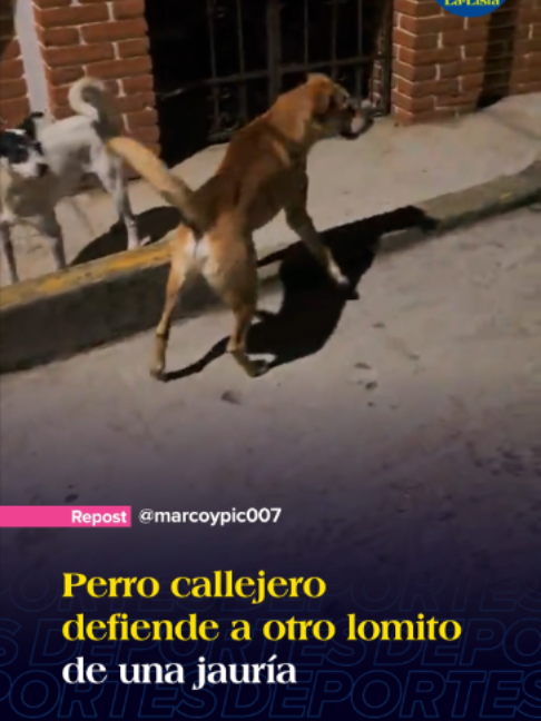 @La-Lista Deportes