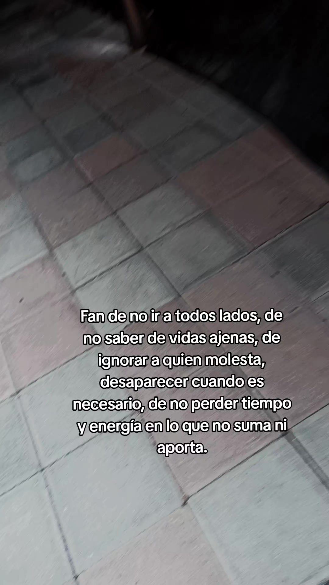 @Tavozdk