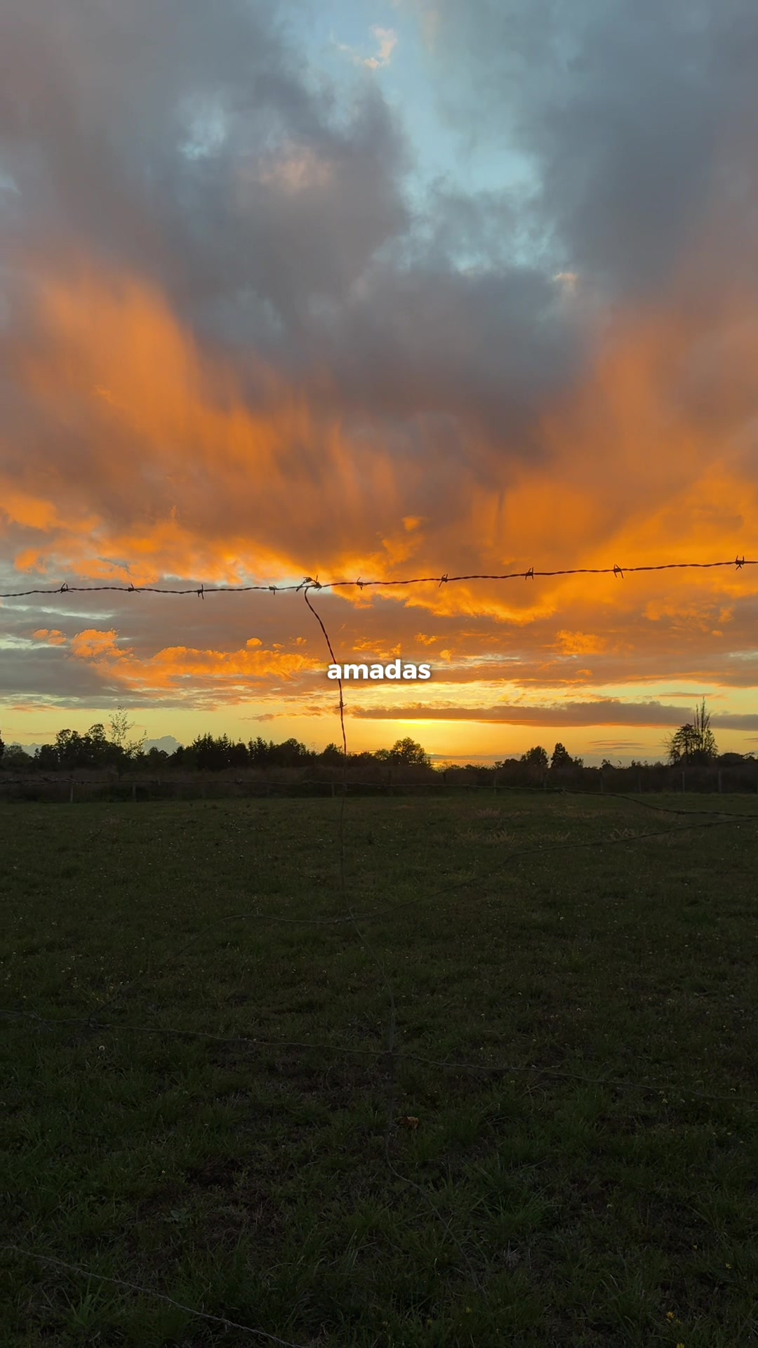 @Natalia 🧡