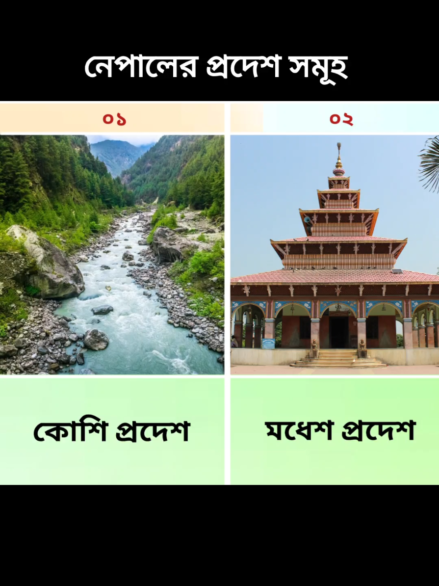 @Data Comparison Bd 2.0